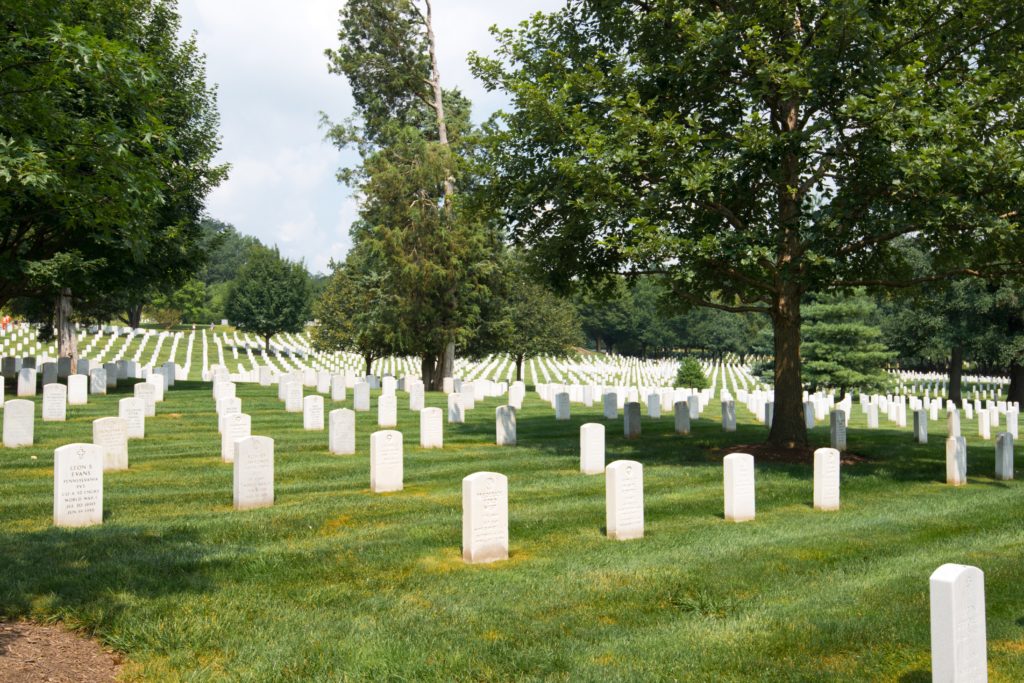 Cemetery with lots of tombstones among tall green trees